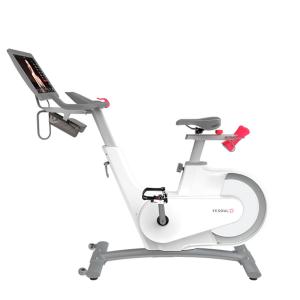Купить Велотренажер Yesoul BV1-W PLUS в Нижнекамске 